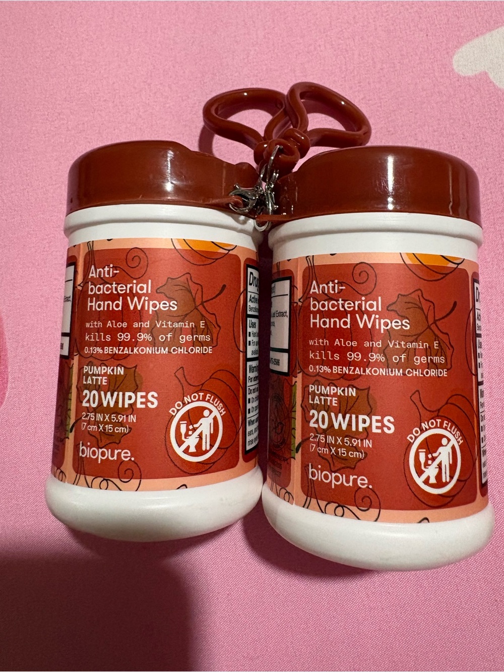 Pumpkin Latte Antibacterial Hand Wipes — Brown (2-Pack)